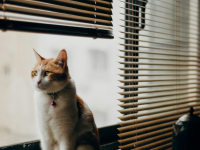 venetian blind cleaning, cleaners, Manchester, Altrincham, Stockport, Cheshire
